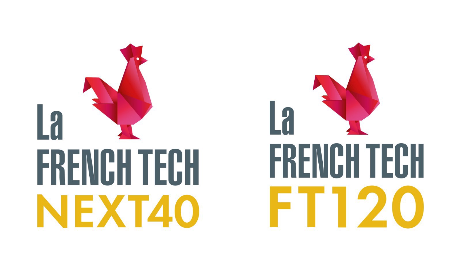 You are currently viewing Next 40 et French Tech 120 : qui sont les nouveaux champions de la Tech en France ?