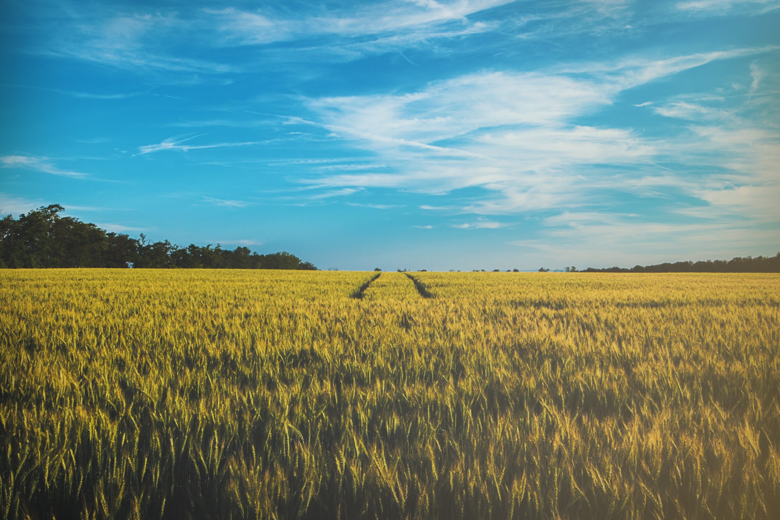 Lire la suite à propos de l’article Lancement d’un fond de 200 millions pour les start-ups Agri-tech – Foodtech