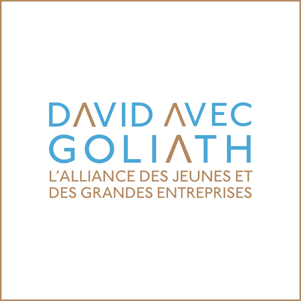 Lire la suite à propos de l’article Discover the 10 finalists of the David with Goliath Prize 2019 !